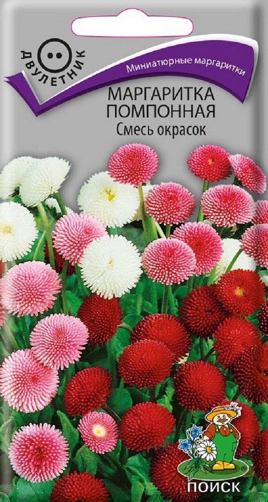 Маргаритка помпонная Смесь окрасок, 0,05 г