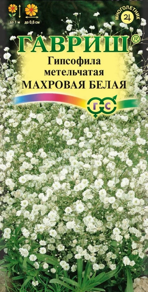Гипсофила ползучая Белая, 0,05 г. Альпийская горка.