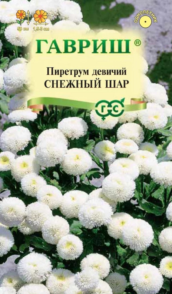 Пиретрум Снежный шар, 0,01 г