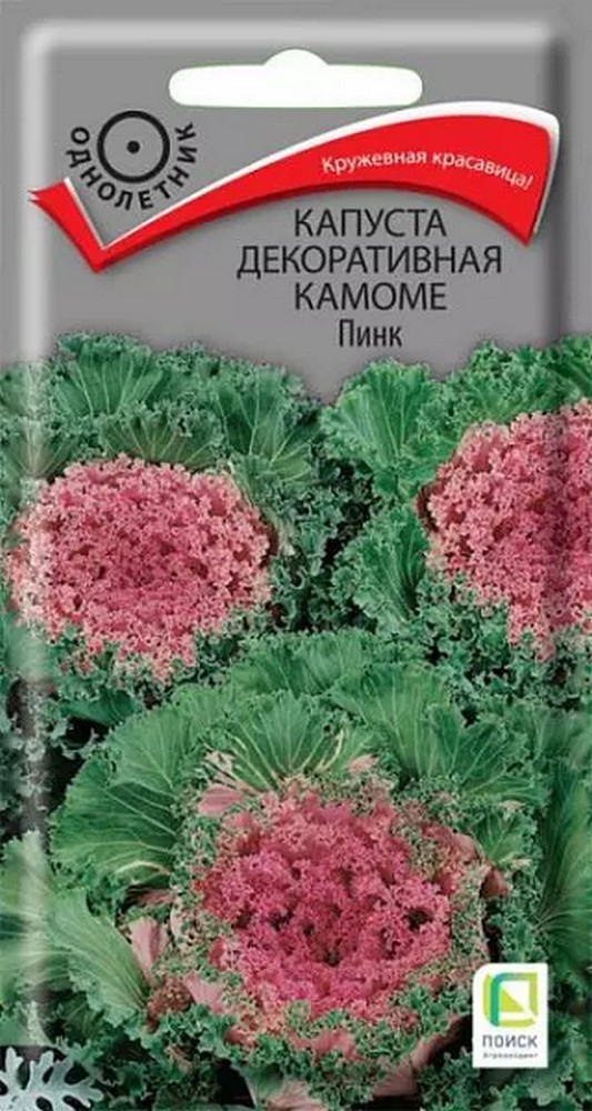 Капуста декоративная Камоме Пинк, 10 шт.