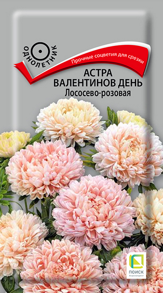 Астра Валентинов день Лососево-розовая, 0,2 г