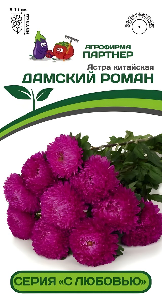 Астра китайская Дамский Роман, 5 шт. С любовью