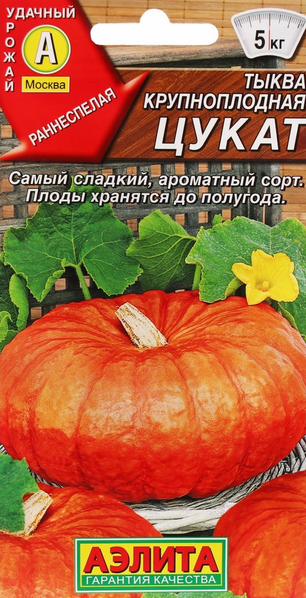 Тыква крупноплодная Цукат, 1 г