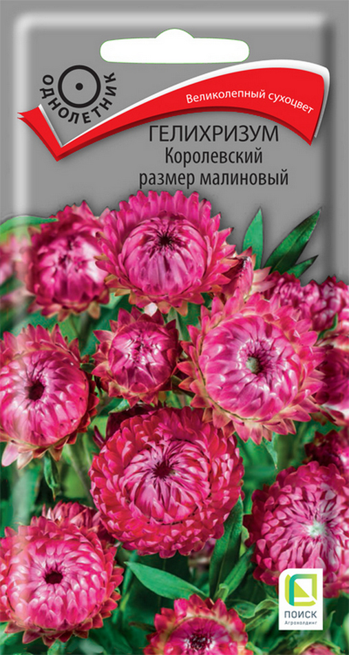 Гелихризум Королевский размер малиновый, 0,1 г