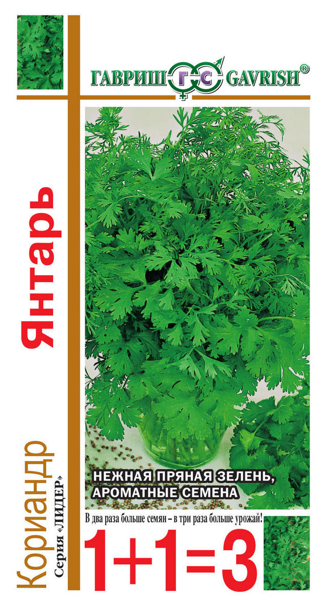 Кориандр Янтарь, 5 г. 1+1