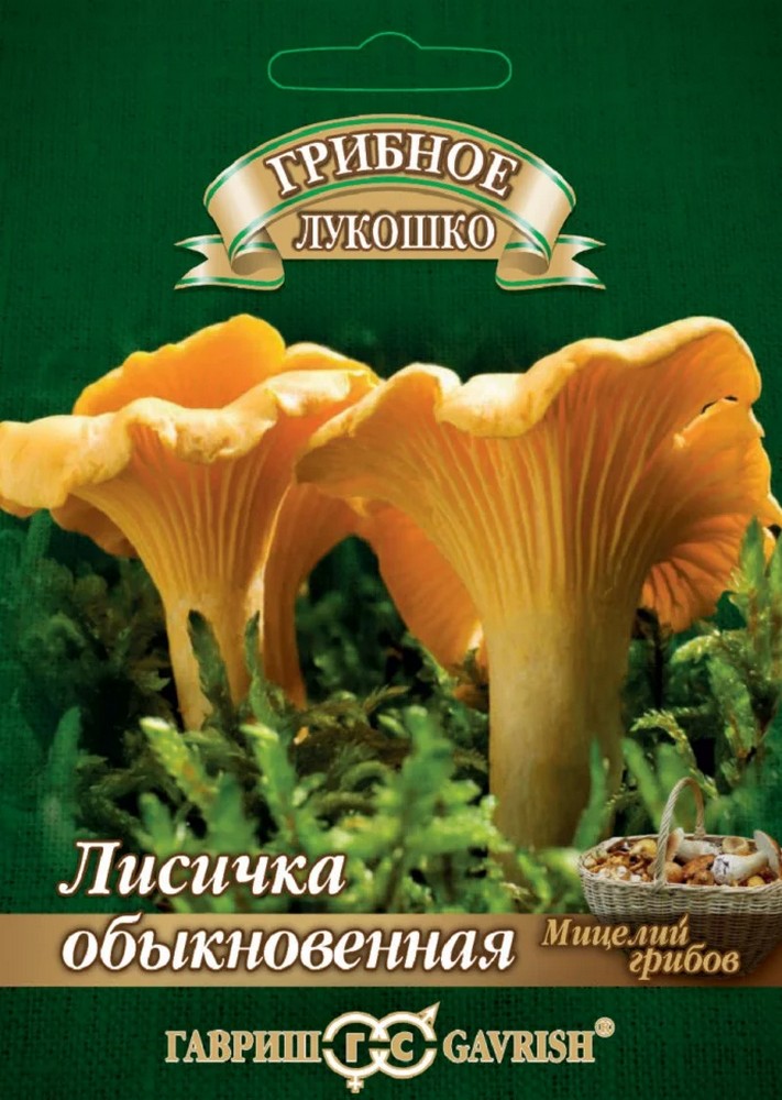 Лисички на зерновом субстрате, 15 мл