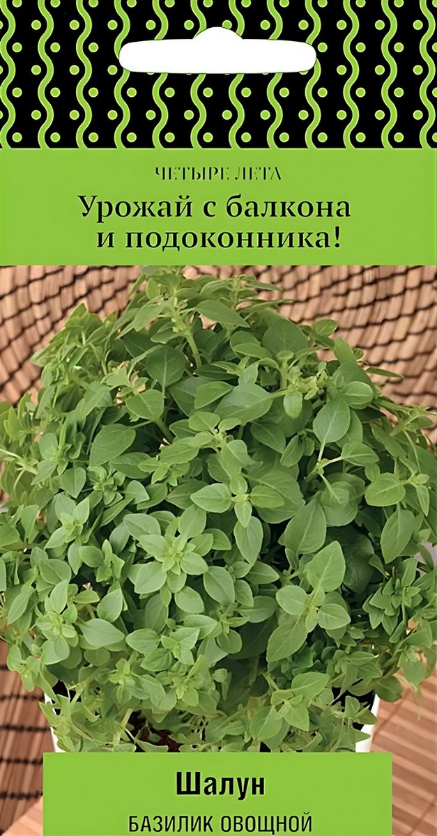 Базилик Шалун, 0,1 г Четыре лета
