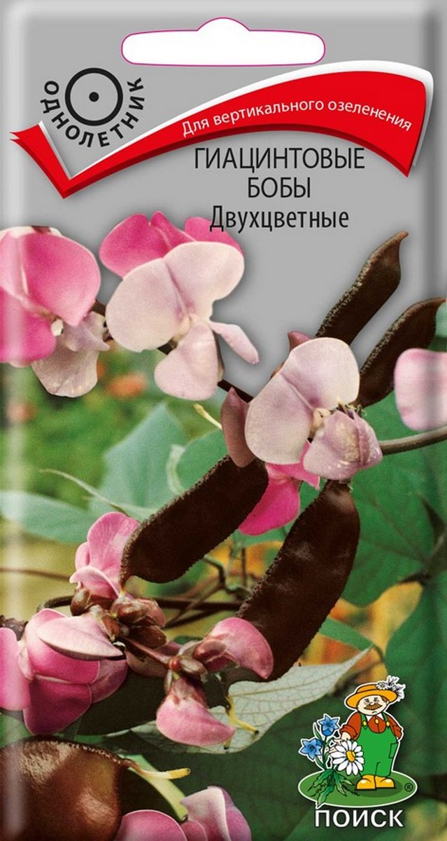 Гиацинтовые бобы Двухцветные, 1 г
