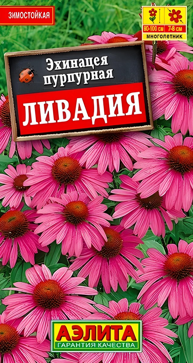 Эхинацея пурпурная Ливадия, 0,3 г