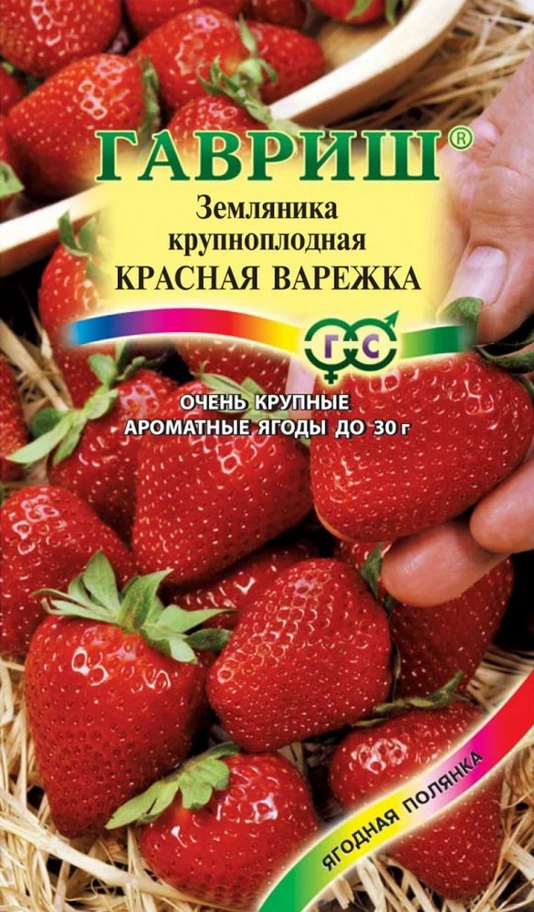 Земляника крупноплодная Красная Варежка, ремонтантная, 0,01 г. Ягодная полянка.