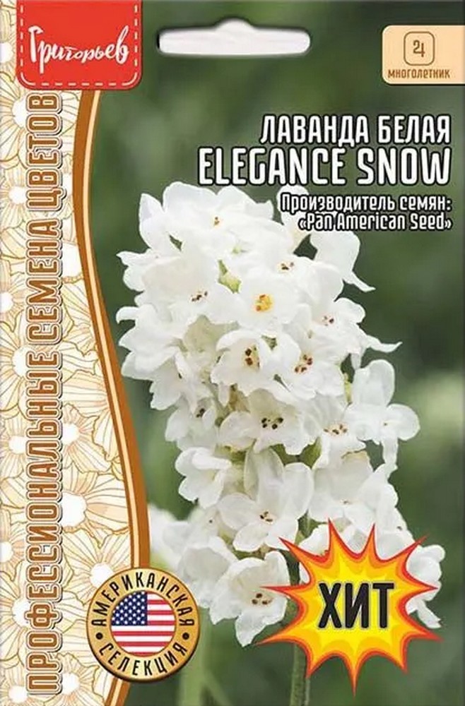 Лаванда узколистная Munstead Strain Blue, 30 шт.