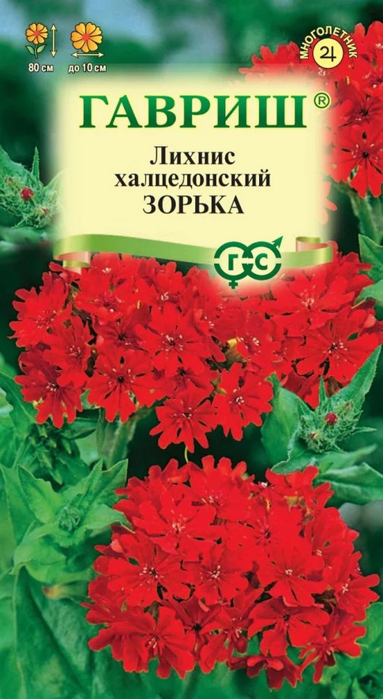 Лихнис халцедонский Зорька, 0,1 г