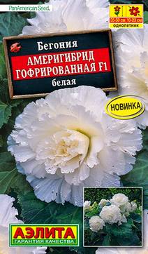 Бегония гофрированная Америгибрид F1, белая, 5 шт.