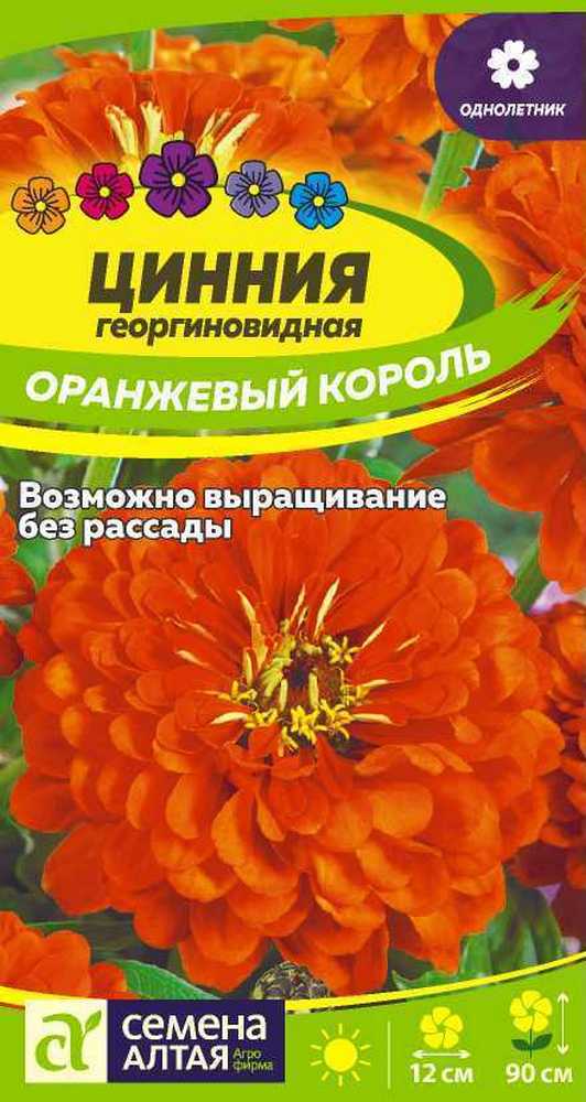 Цинния Оранжевый Король 0,3 г