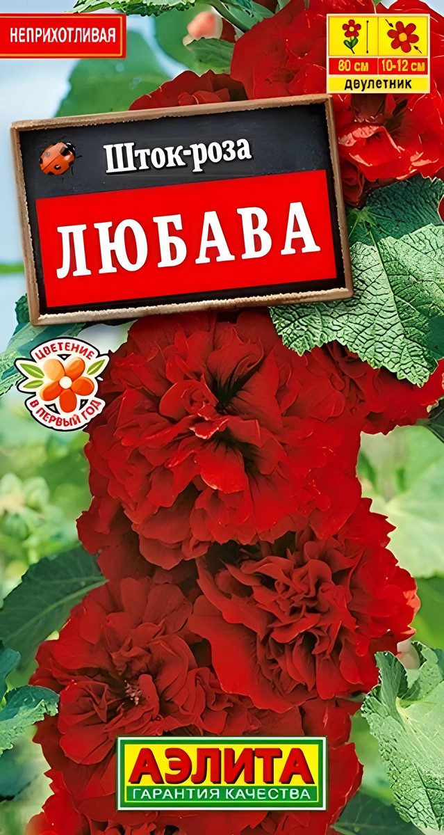 Шток-роза Любава 