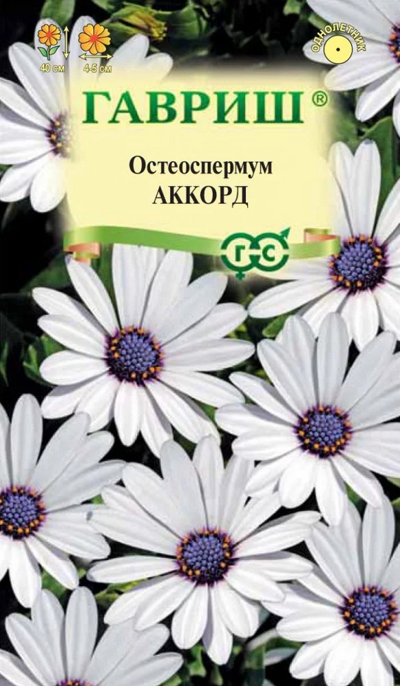 Остеоспермум Аккорд белый, 0,1 г