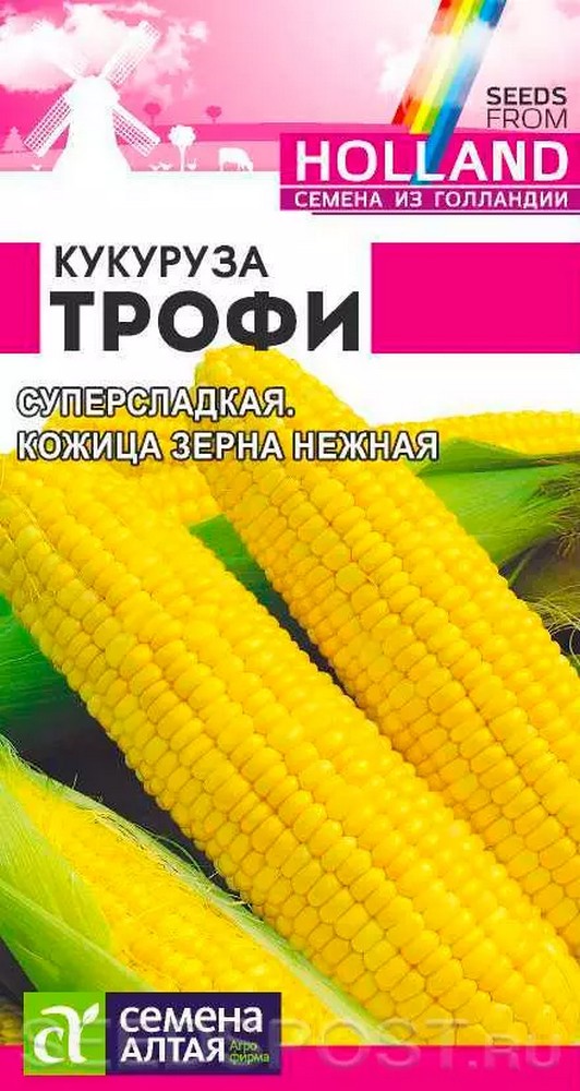 Кукуруза Трофи, 2 г Голландские Семена
