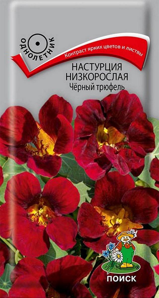 Настурция низкорослая Чёрный трюфель, 1 г