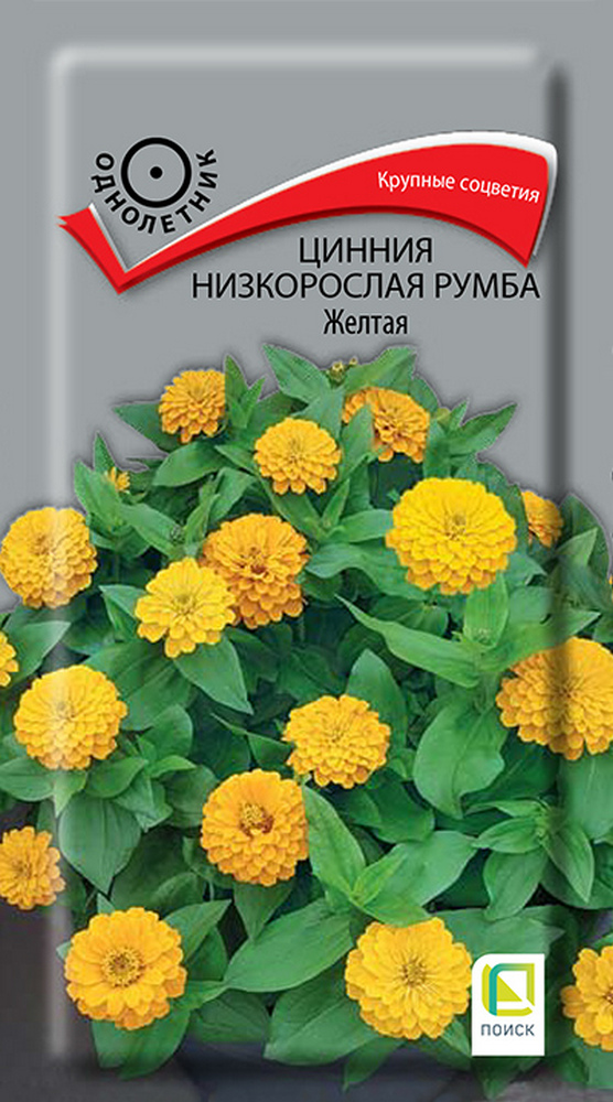 Цинния низкорослая Румба Жёлтая, 0,1 г