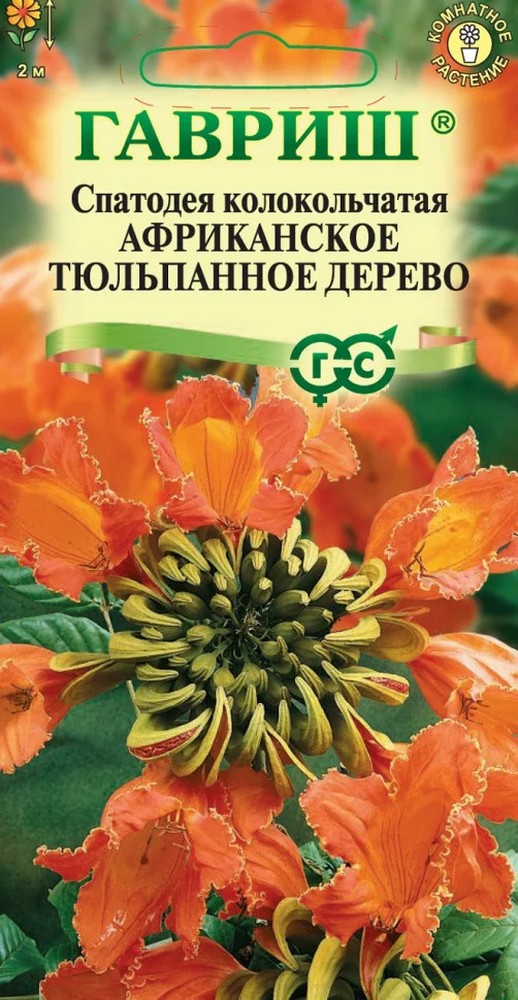 Спатодея Африканское тюльпанное дерево, 0,05 г