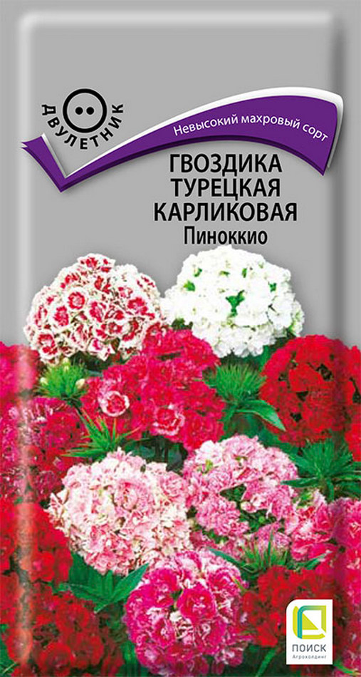 Гвоздика Турецкая карликовая Пиноккио, 0,3 г