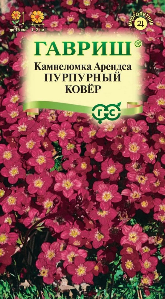 Камнеломка Арендса Пурпурный ковер, 0,01 г. Гавриш