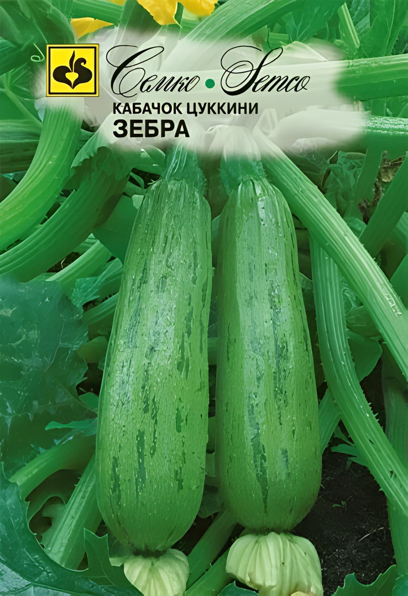 Кабачок цуккини Зебра, 10 шт.