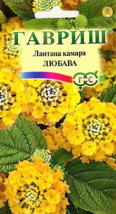 Лантана сводчатая Любава, 0,1 г