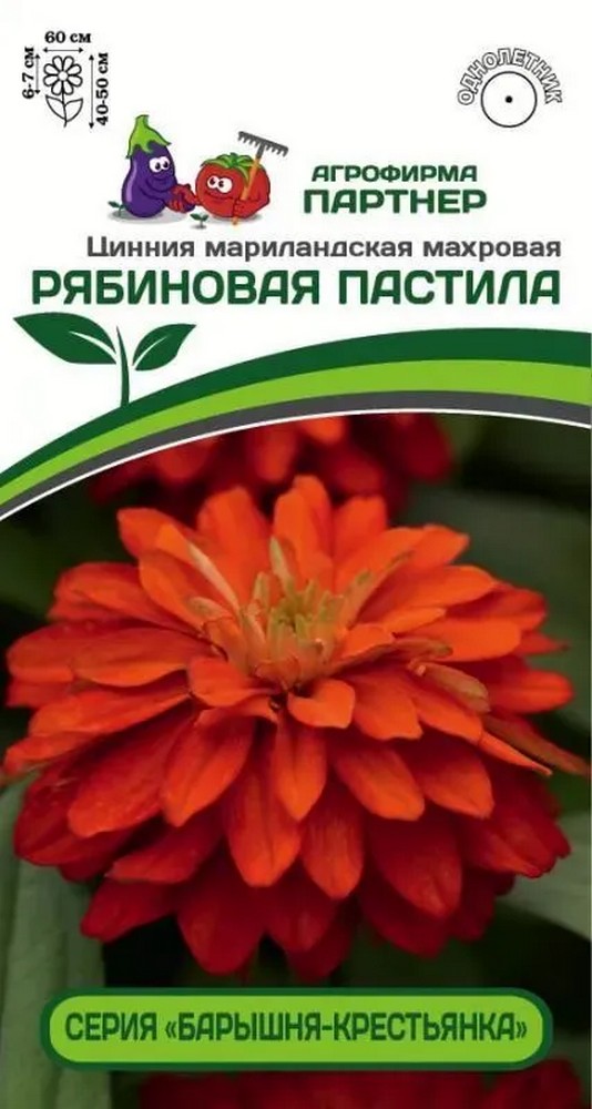 Цинния "Барышня-крестьянка" Рябиновая пастила, 5 шт. Агрофирма Партнер.
