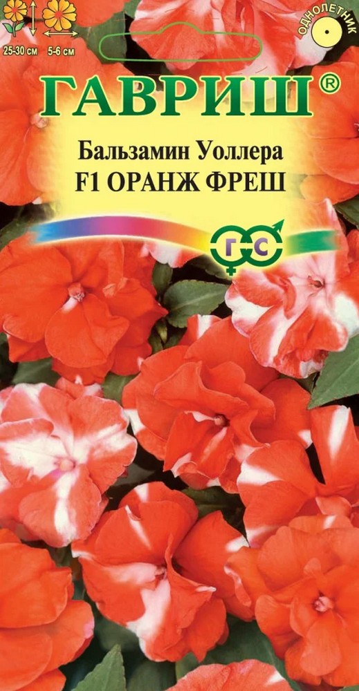 Бальзамин Уоллера F1 Оранж фреш, 5 шт.