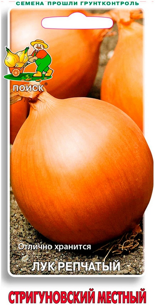 Лук репчатый Стригуновский местный, 1 г
