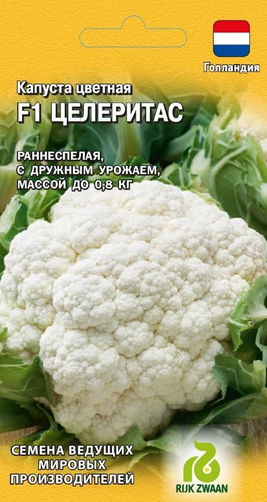 Капуста цветная Целеритас F1, 10 шт. Голландия.