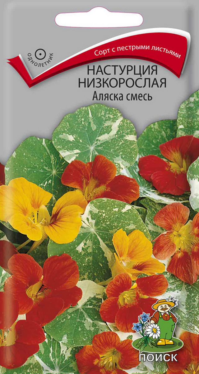 Настурция низкорослая Аляска смесь, 1 г Поиск