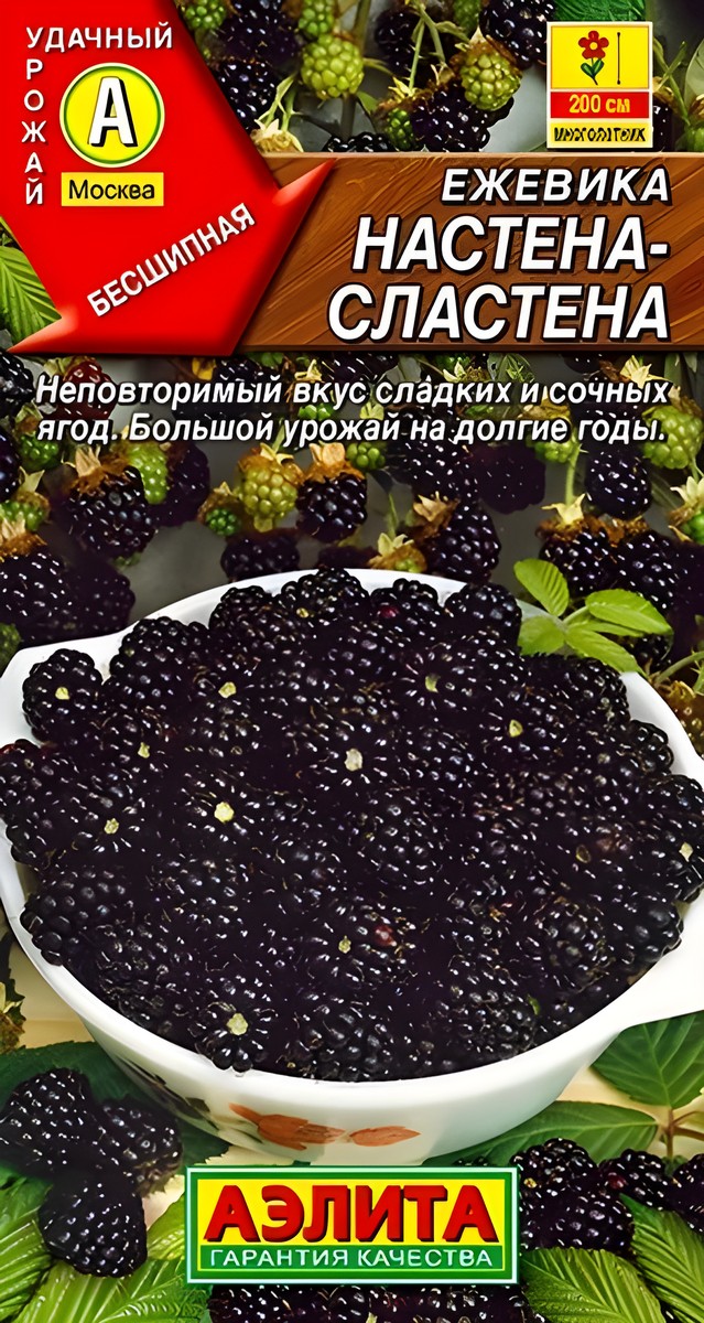 Ежевика Настена-сластена, 15 шт.