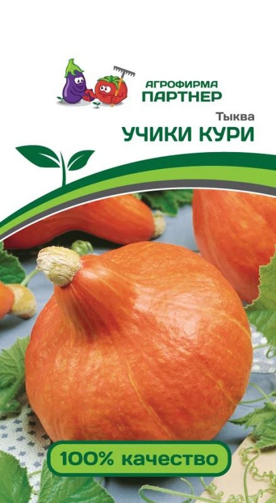 Тыква Учики кури,10 шт. Агрофирма Партнер.
