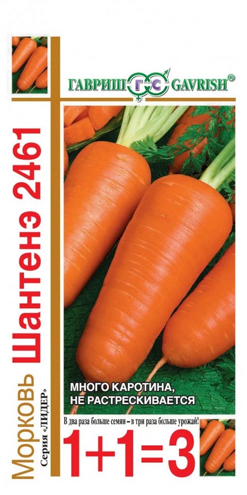 Морковь Шантенэ 2461, 4 г. 1+1
