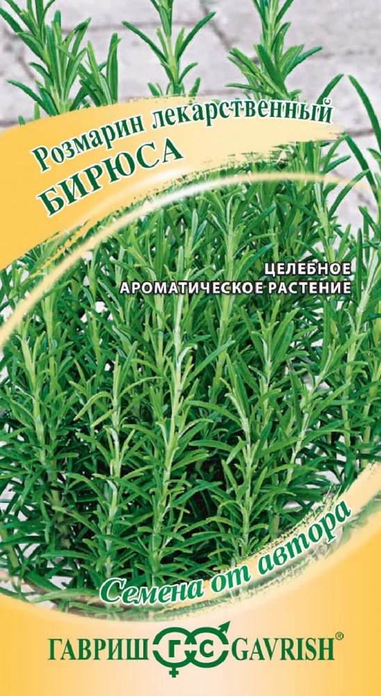 Розмарин лекарственный Бирюса, 0,05 г. Авторские семена.