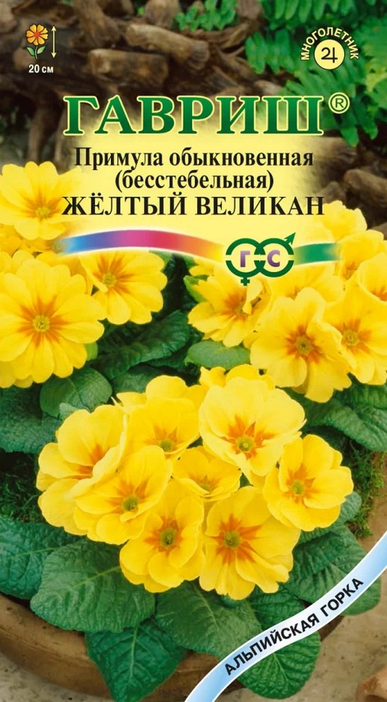Примула Селекта Великан желтый, 10шт. Альпийская горка.
