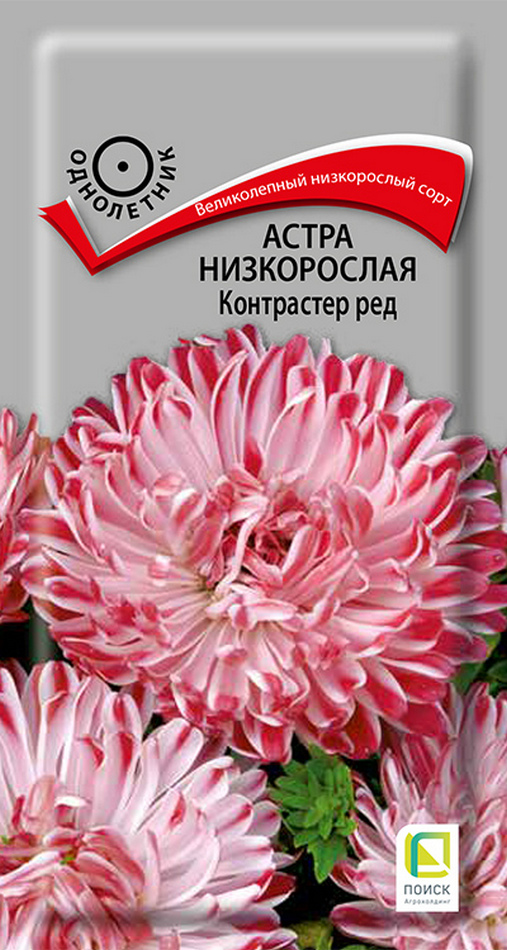 Астра низкорослая Контрастер Ред, 0,2 г
