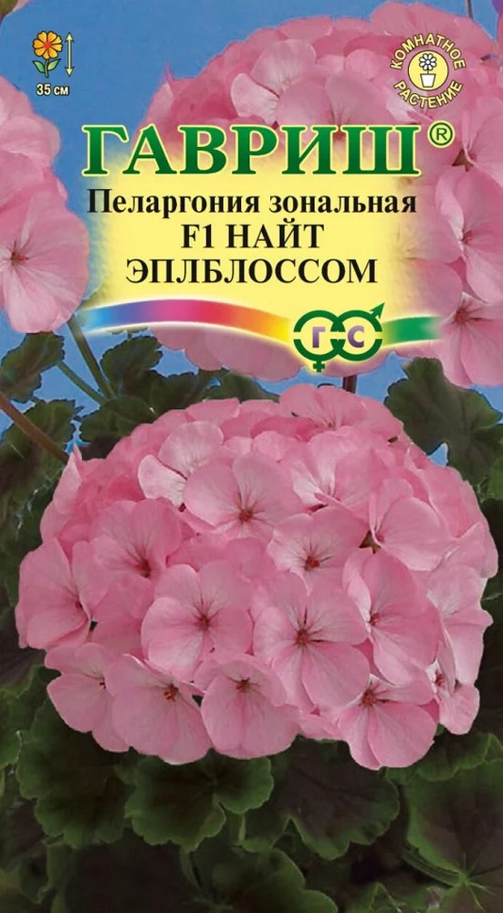 Пеларгония Найт Эплблоссом F1, зональная, 4шт.