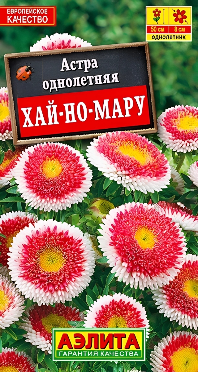 Астра Хай-но-мару, помпонная 0,1 г