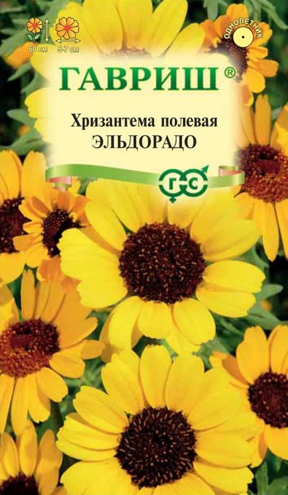 Хризантема Германский флаг, 0,5 г 