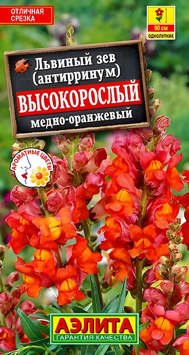 Львиный зев Высокорослый, медно-оранжевый, 0,1 г