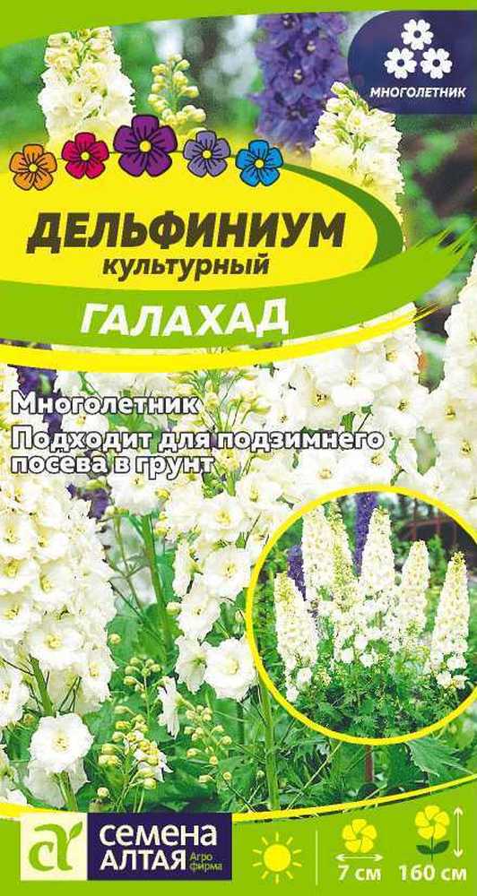 Дельфиниум многолетний Галахад, 0,1 г