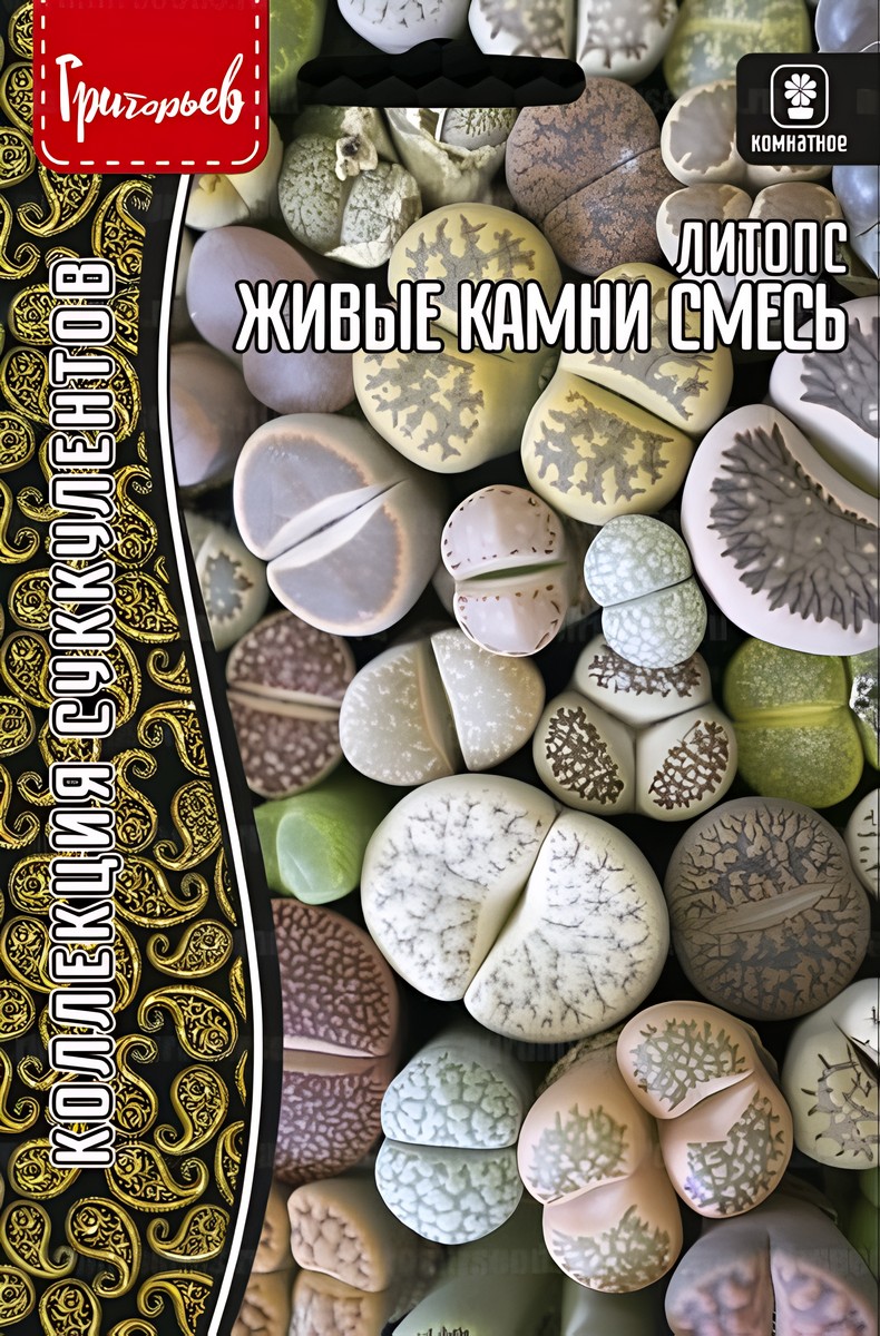 Литопс Живые Камни смесь, 4 шт. 