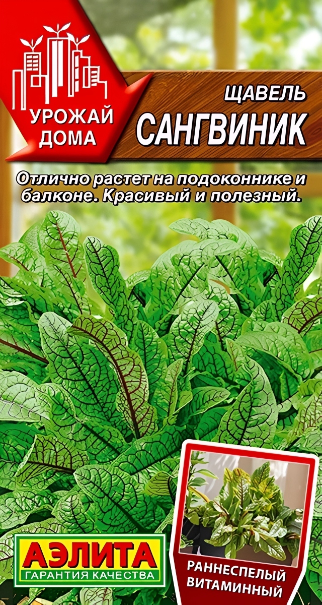 Щавель Сангвиник, 0,05 г. Урожай дома.