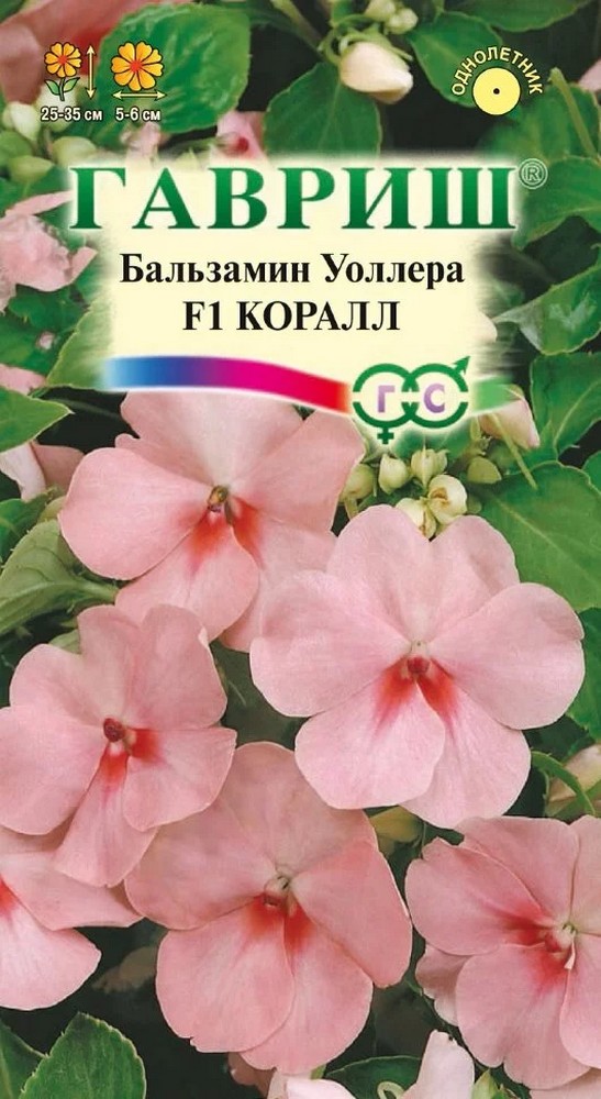 Бальзамин Уоллера F1 Коралл, 4 шт.