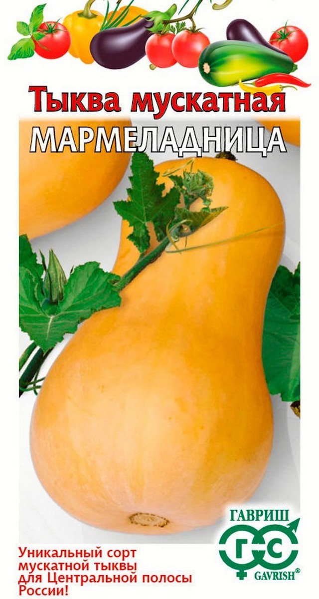 Тыква мускатная Мармеладница, 2 г