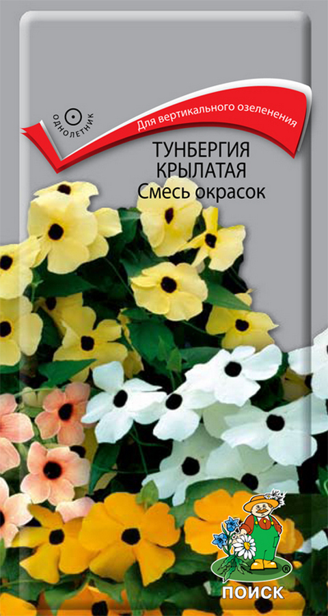 Тунбергия крылатая, смесь окрасок, 0,5 г
