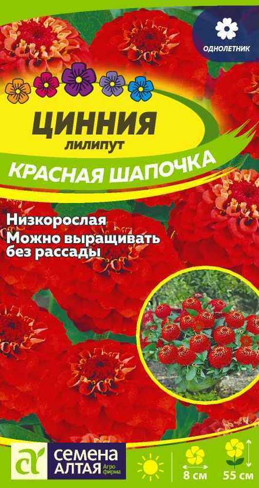 Цинния лилипут Красная шапочка 0,3 г